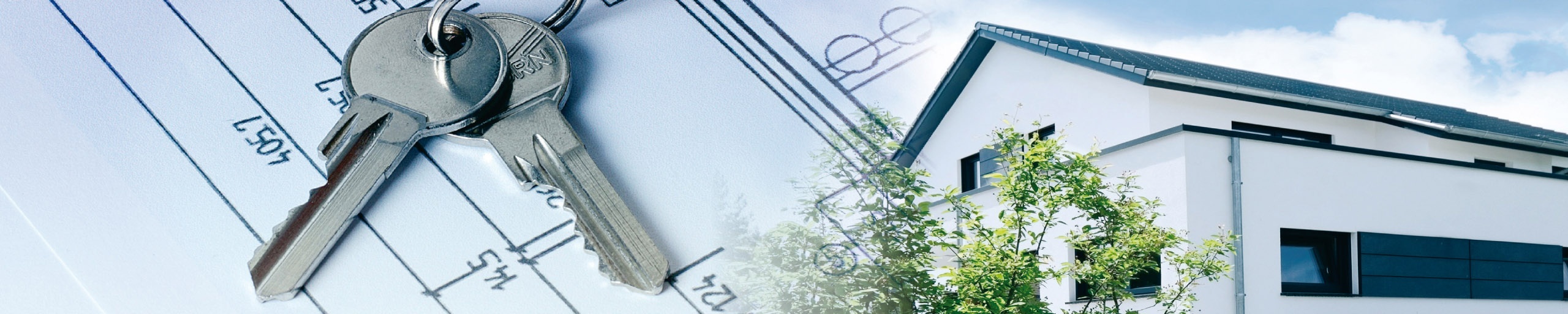 Die Immobilien Meisterei GmbH