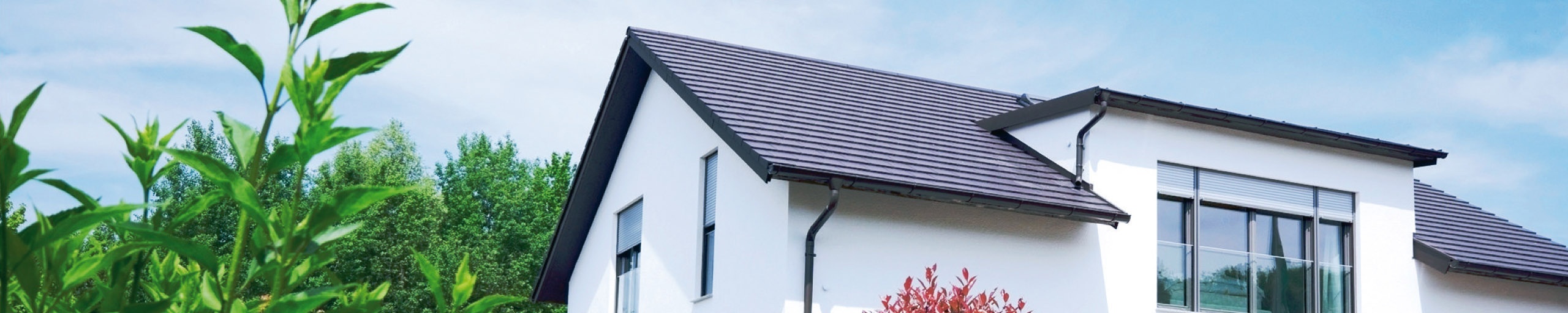 Die Immobilien Meisterei GmbH
